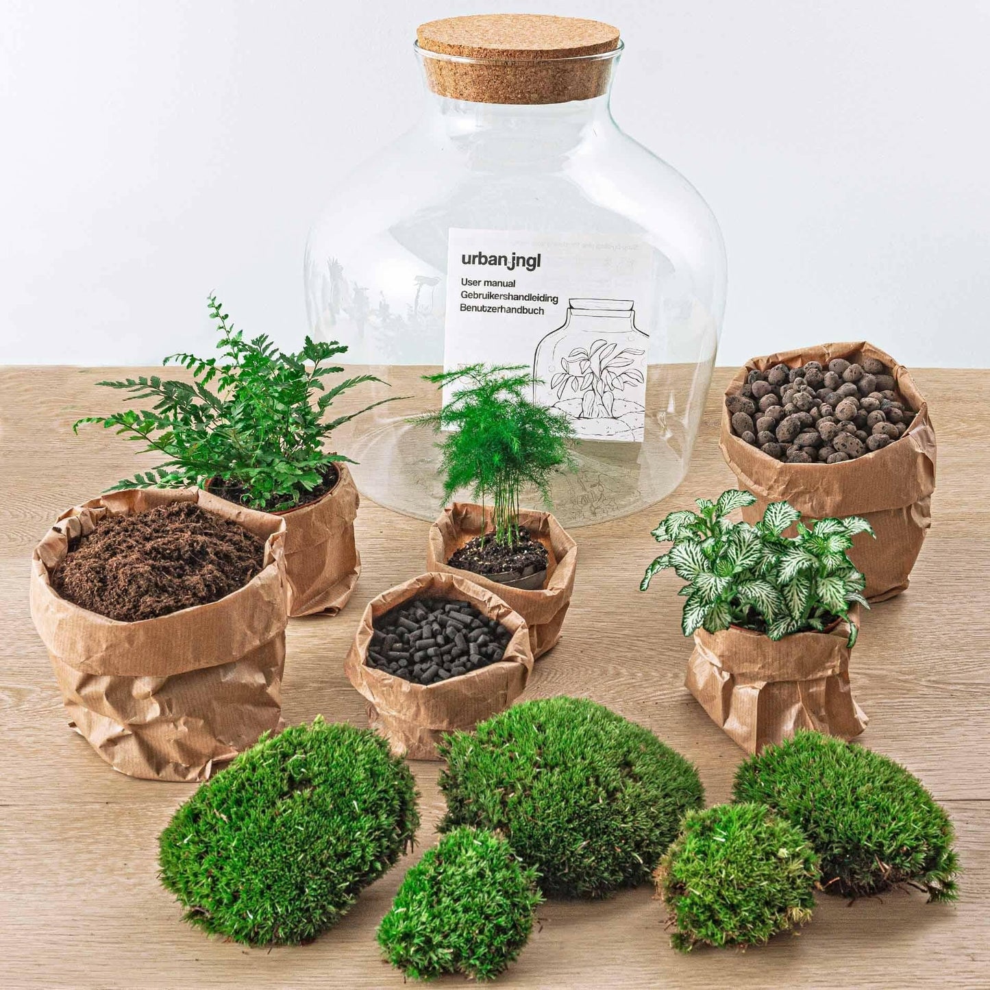 DIY Terrarium Set - Fat Joe Groen - 30 cm Hoogte met Hark, Schep, Pincet en Schaar - Ø7 - Sierplantenshop