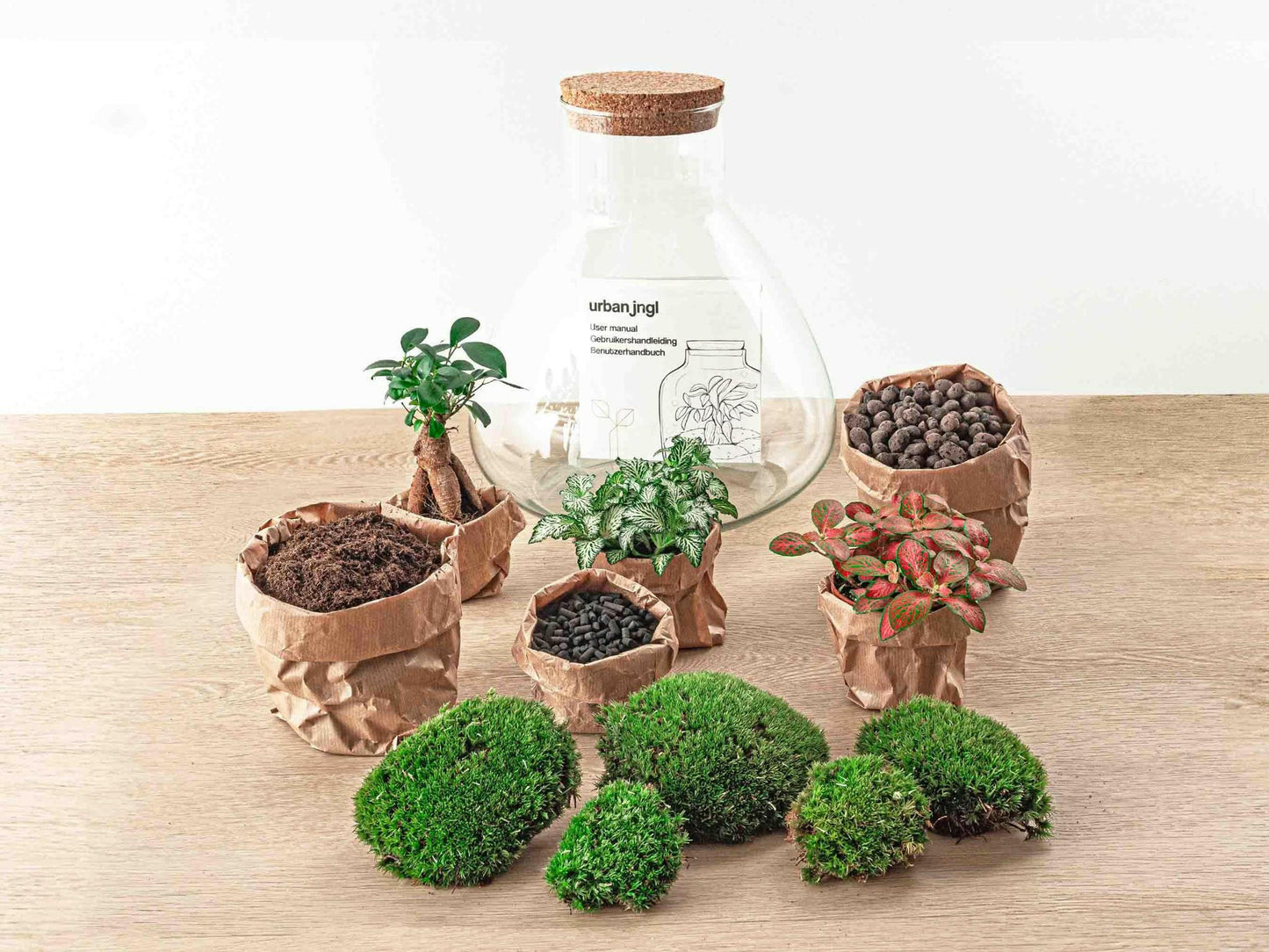 Sam XL Bonsai - DIY Terrarium - 32 cm hoog - Ø32 - Sierplantenshop