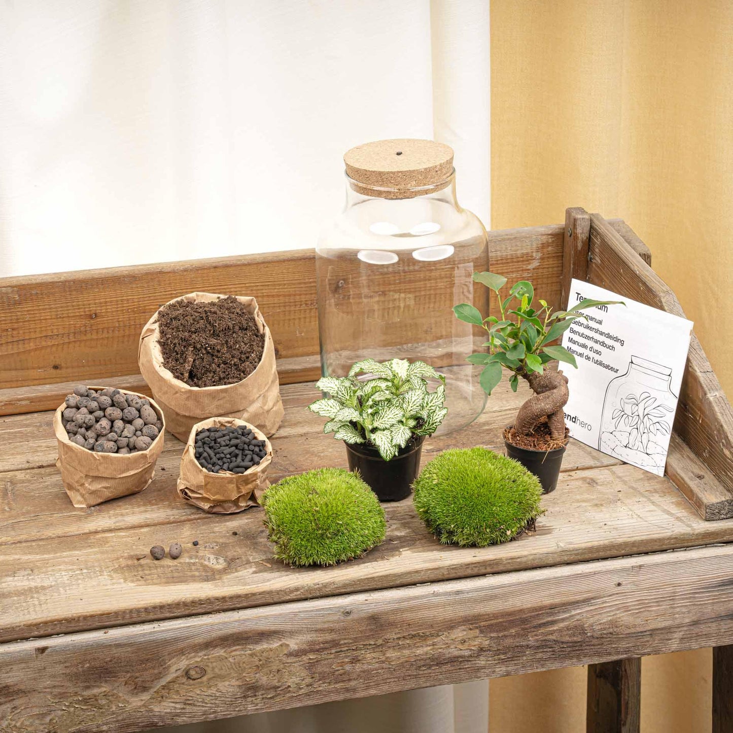 Planten terrarium - Little Milky + Led lamp ↑ 25 cm
