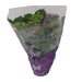 Hydrangea Roze - Ø14cm - ↕35cm hortensia