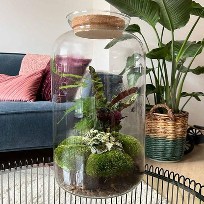 DIY terrarium - Botanical Sven XL ↕ 43 cm - Ø9 - Sierplantenshop