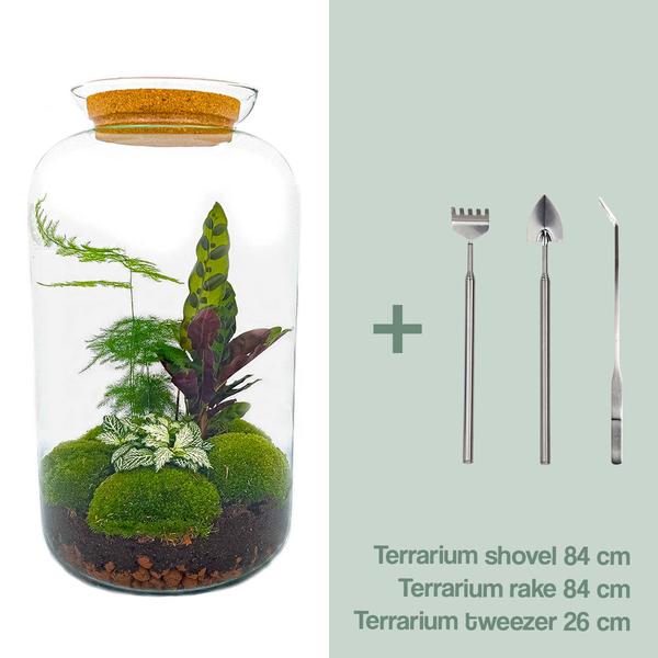 DIY terrarium - Botanical Sven XL ↕ 43 cm - Ø9 - Sierplantenshop