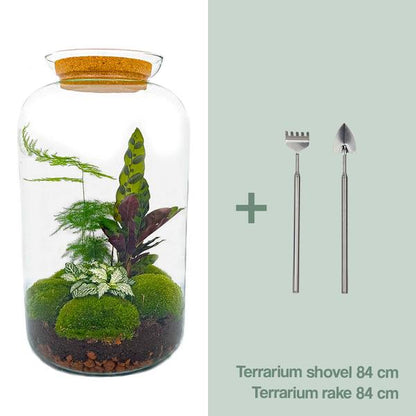 DIY terrarium - Botanical Sven XL ↕ 43 cm - Ø9 - Sierplantenshop