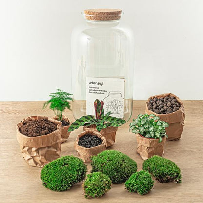 DIY terrarium - Botanical Sven XL ↕ 43 cm - Ø9 - Sierplantenshop