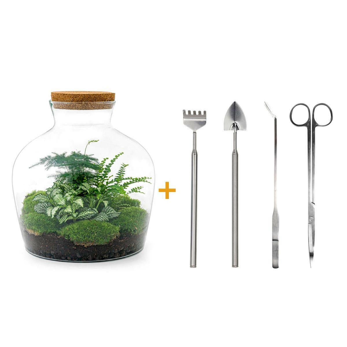 DIY Terrarium Set - Fat Joe Groen - 30 cm Hoogte met Hark, Schep, Pincet en Schaar - Ø7 - Sierplantenshop