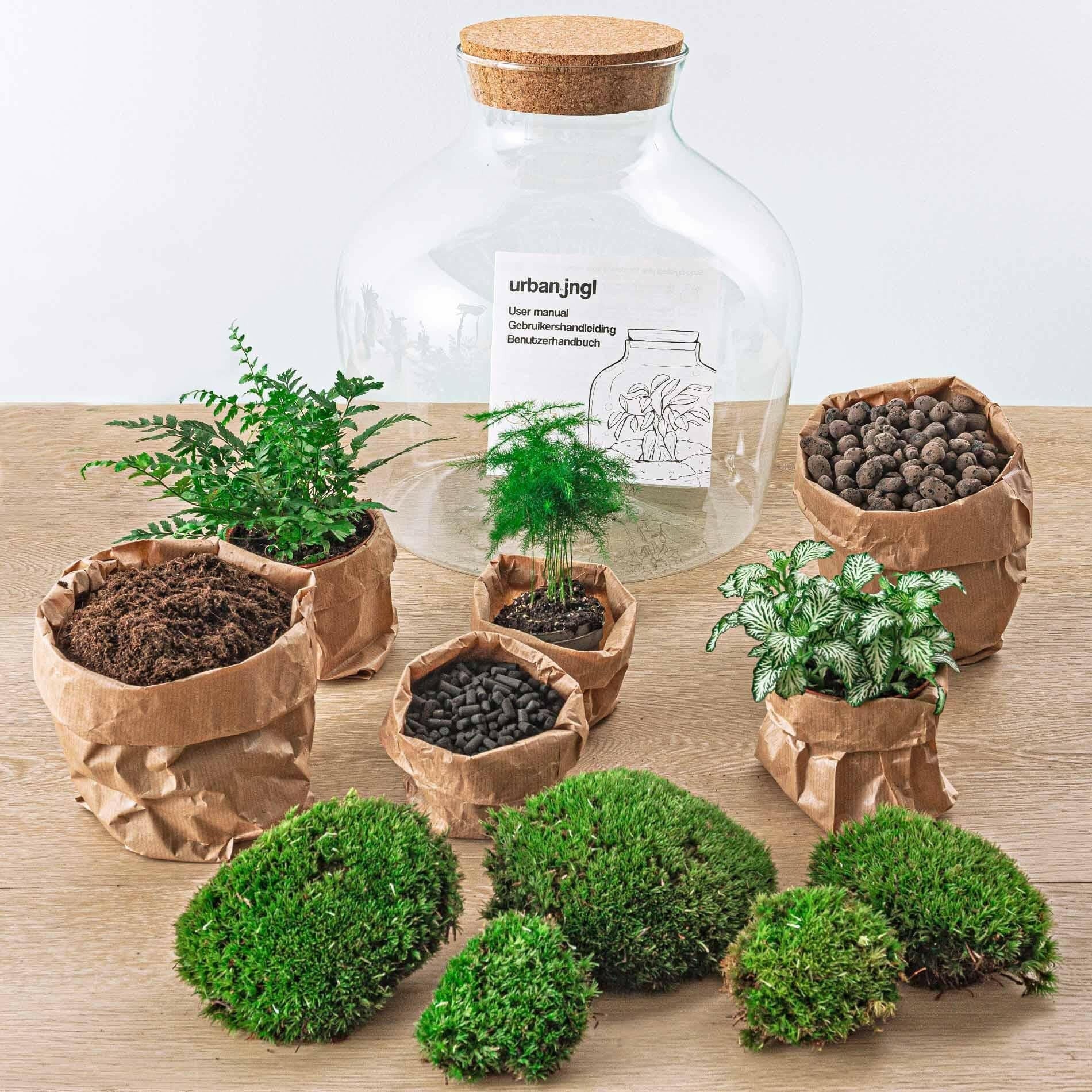 DIY Terrarium Set - Fat Joe Groen - 30 cm Hoogte met Hark, Schep, Pincet en Schaar - Ø7 - Sierplantenshop