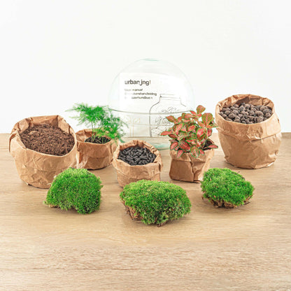 DIY Terrarium Set - Rode Koepel - Hoogte 20 cm - Creëer je Eigen Mini - Ecosysteem - Ø7 - Sierplantenshop