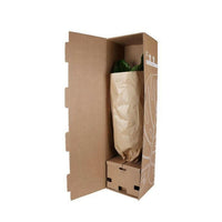 Ficus elastica Robusta - ↕90cm - Ø21 - Sierplantenshop