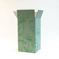 Monstera Plantenpracht in Luxe Fluwelen Pot - ↕35cm - Ø12 - Sierplantenshop