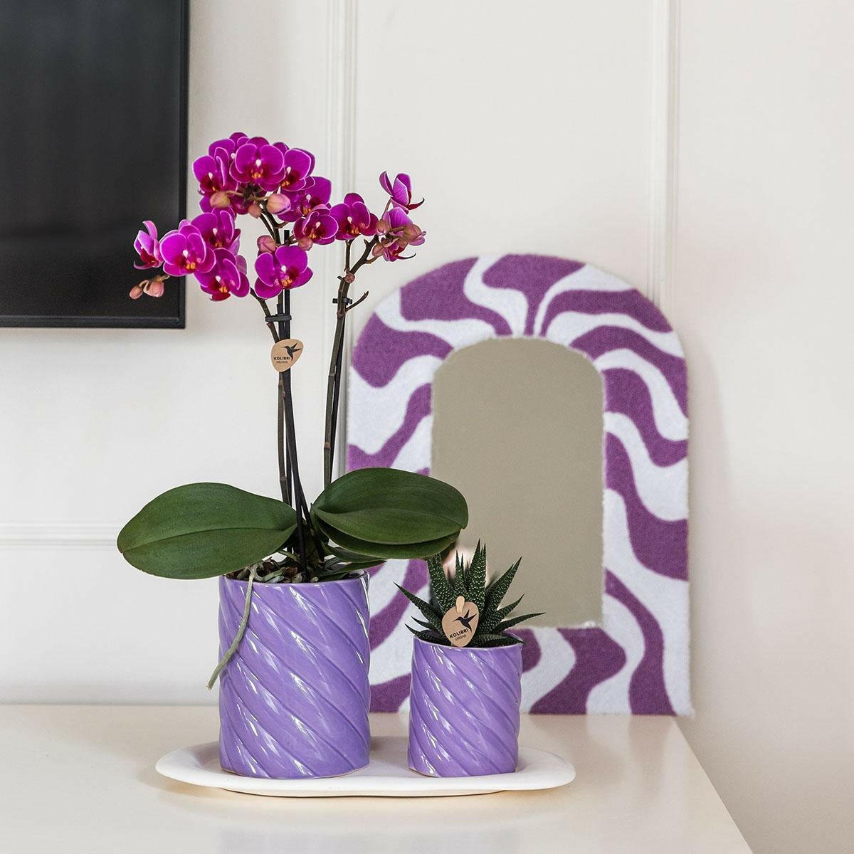 Phalaenopsis Groene plant met oranje orchidee in Candy sierpotten op wit organisch dienblad - ↕35cm - Ø9 - Sierplantenshop