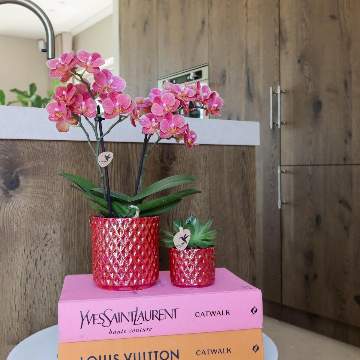 Phalaenopsis Rode Orchidee Congo in Diamond Pearl Pot - ↕35cm - Ø9 - Sierplantenshop