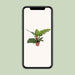 Philodendron Imperial Green – Philodendron kamerplant