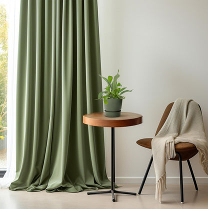 Platycerium Bifurcatum – Hertshoornvaren kamerplant