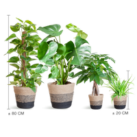 Easy care Plantenbox - medium - met Mand Lissabon zwart