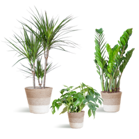 Schaduw Plantenbox - medium - met mand Lissabon wit