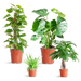 Easy care Plantenbox - medium - zonder sierpot