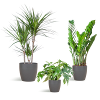 Schaduw Plantenbox - medium - met vibers pot grijs