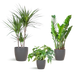 Schaduw Plantenbox - medium - met vibers pot grijs