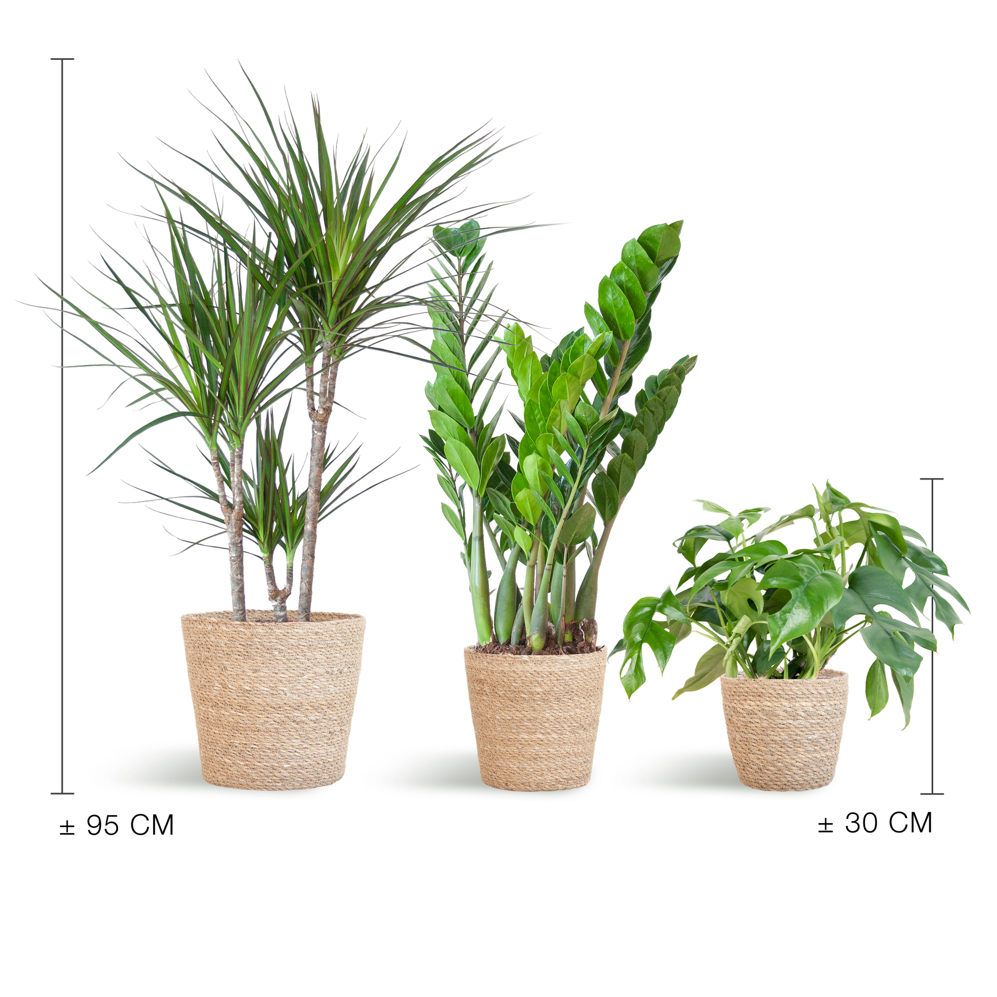 Schaduw Plantenbox - medium - met mand Sofia