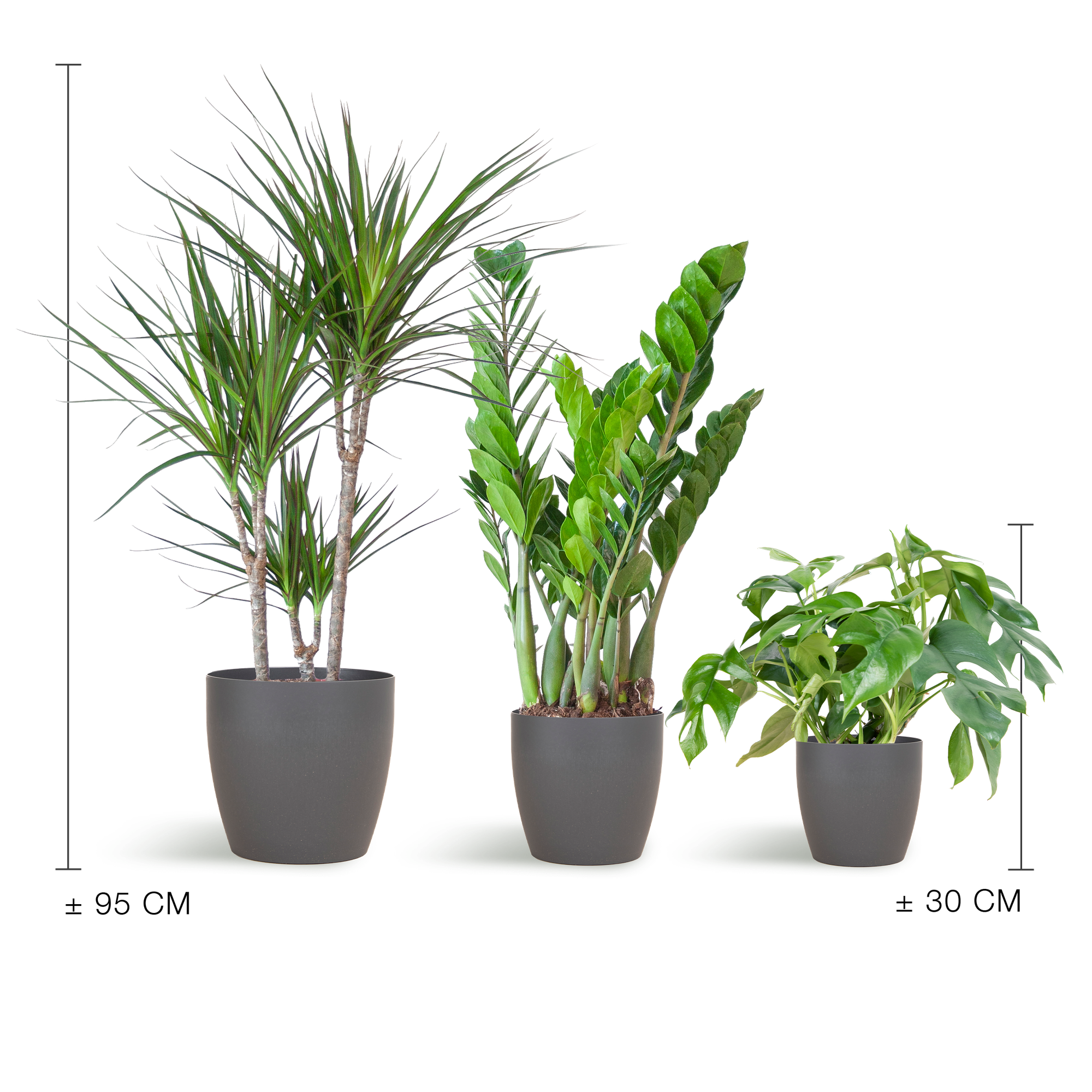 Schaduw Plantenbox - medium - met vibers pot grijs
