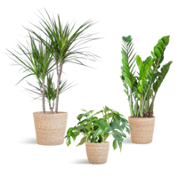 Schaduw Plantenbox - medium - met mand Sofia