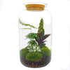 DIY terrarium - Botanical Sven XL - ↕ 43 cm