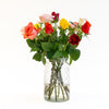 Sierplantenshop - Letterbox Roses Mixed Colors | 35cm length Letterbox Roses Mixed Colors | 35cm length