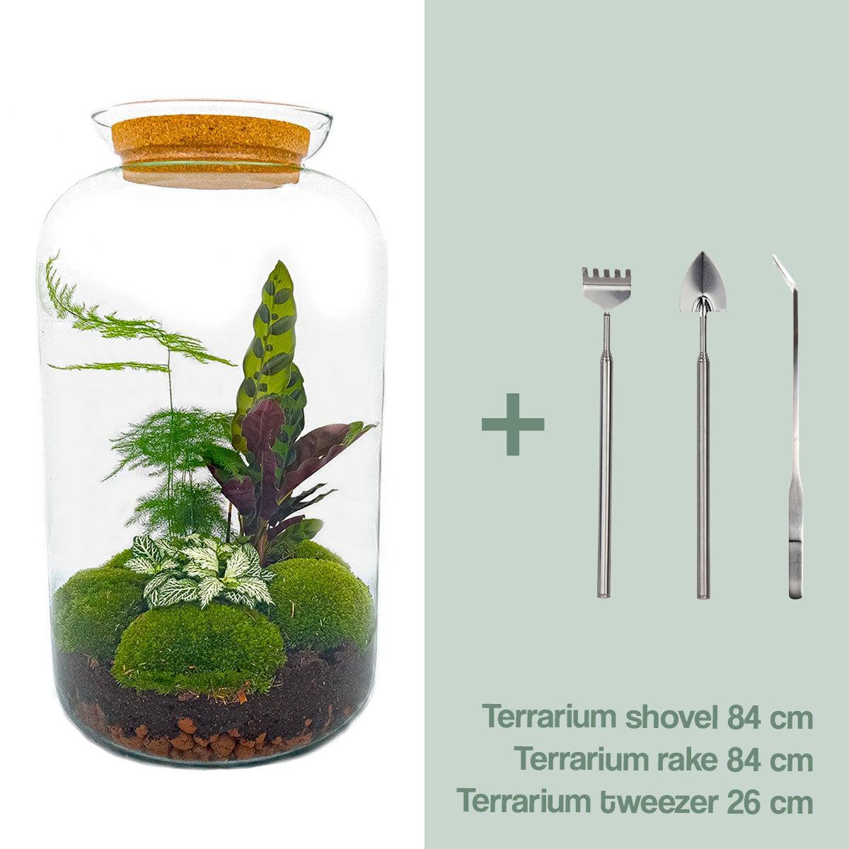 DIY terrarium - Botanical Sven XL - ↕ 43 cm