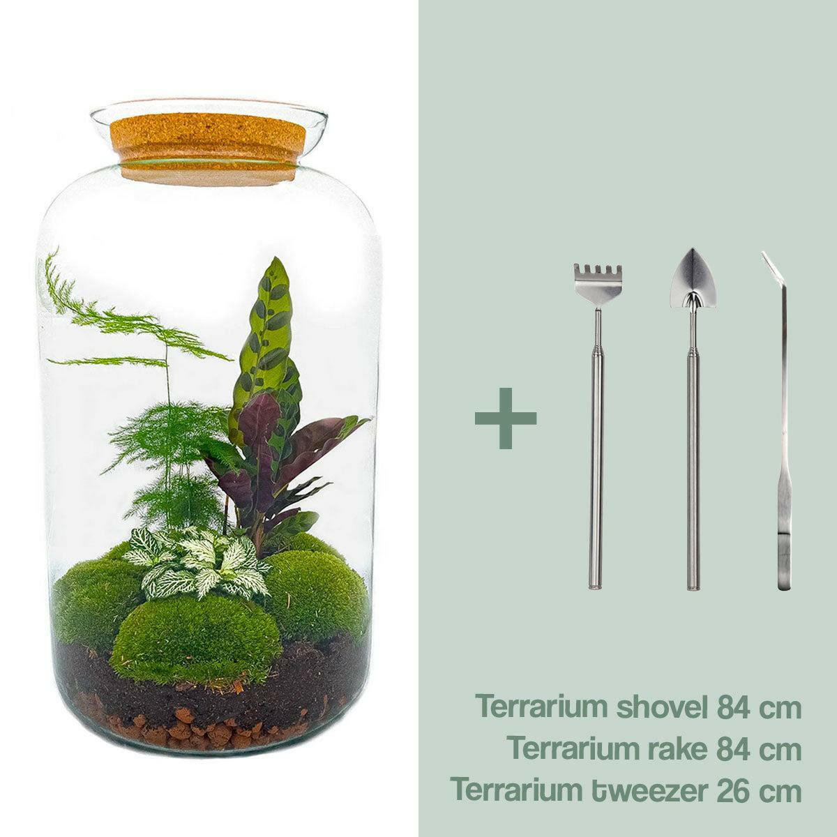 DIY Terrarium Botanical Sven XL - Elegant Mini-Ecosysteem - Hoogte 43 cm Sierplantenshop .